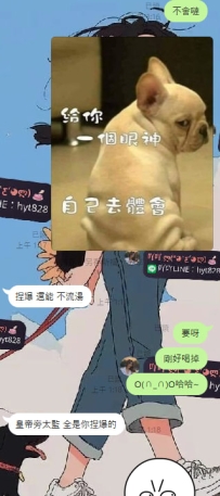 大晚上的不睡覺  這兩變態又開始了  😢